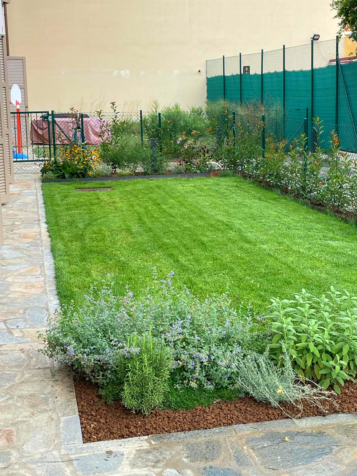 dottorgreen giardinaggio a faenza