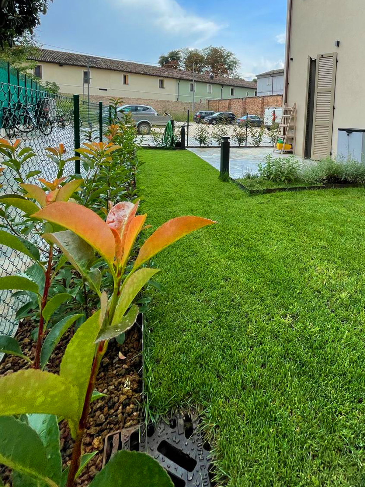 dottorgreen giardinaggio a faenza