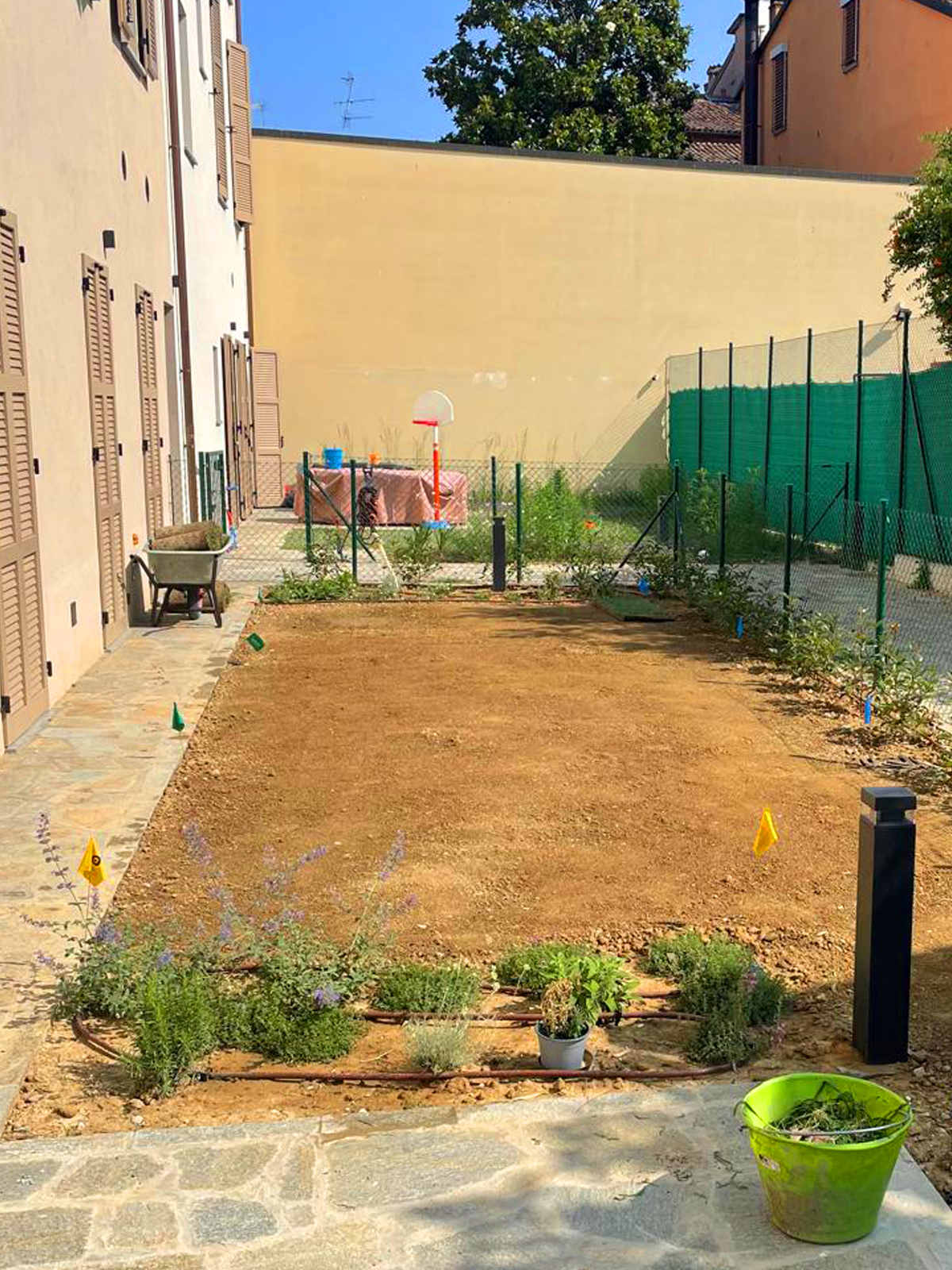 dottorgreen giardinaggio a faenza