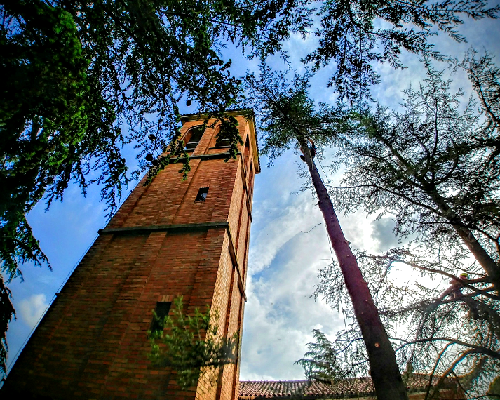 dottorgreen treeclimber Villagrappa Forli